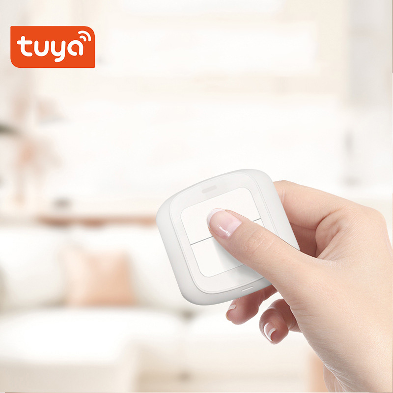 Tuya Zigbee WiFi Smart Switch  – Home Automation Technology Bewertung und Preis